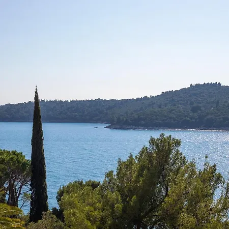 Апартаменты Seaview Ploce *