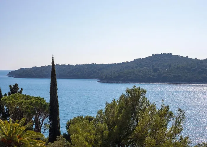 公寓 Seaview Ploce *