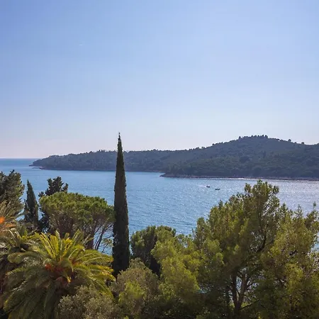 Apartment Seaview Ploce *